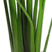 5'9" Triple Trunk Silk Traveller Palm Tree w/Pot -Green - SAFTCG49