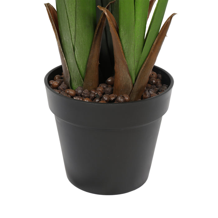 5'9" Triple Trunk Silk Travelers Palm Tree w/Pot -Green - SAFTCG49