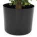 25"Hx17"W Outdoor UV-Proof Artificial Boxwood Topiary Ball w/Pot -Green - SAFTKCZ012