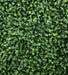 20"x20" Outdoor UV-Proof Artificial Boxwood Mat -2 Tone Green (Pack of 6) - SAFTNB29