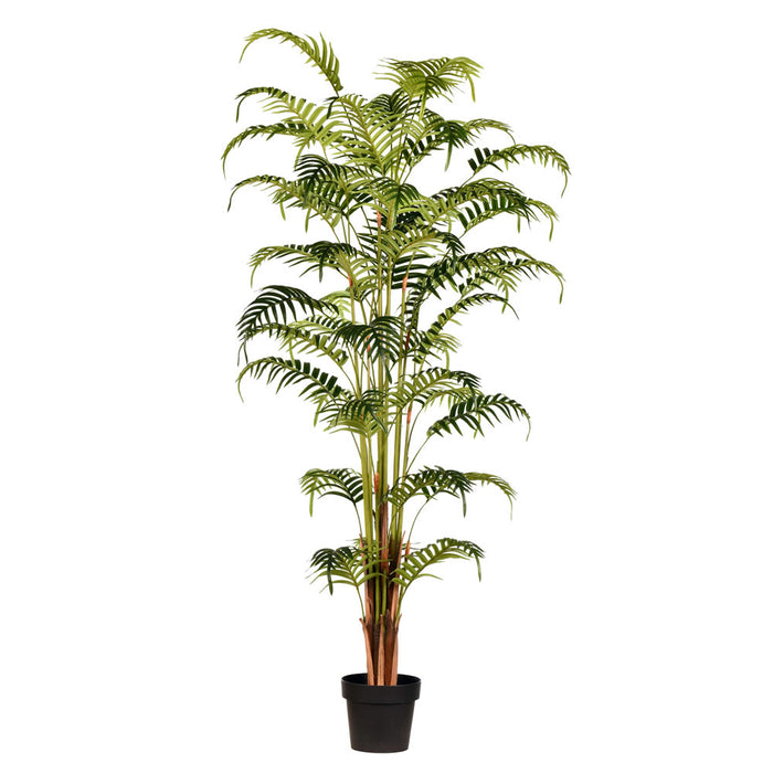5'10" Real Touch Fern Palm Silk Tree w/Plastic Pot -Green - TA193570