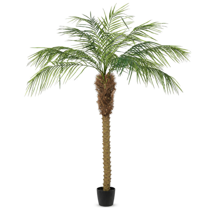6' Phoenix Silk Palm Tree w/Pot -Green - TB180372