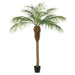 6' Phoenix Silk Palm Tree w/Pot -Green - TB180372