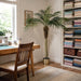 6' Phoenix Silk Palm Tree w/Pot -Green - TB180372