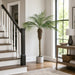 6' Phoenix Silk Palm Tree w/Pot -Green - TB180372