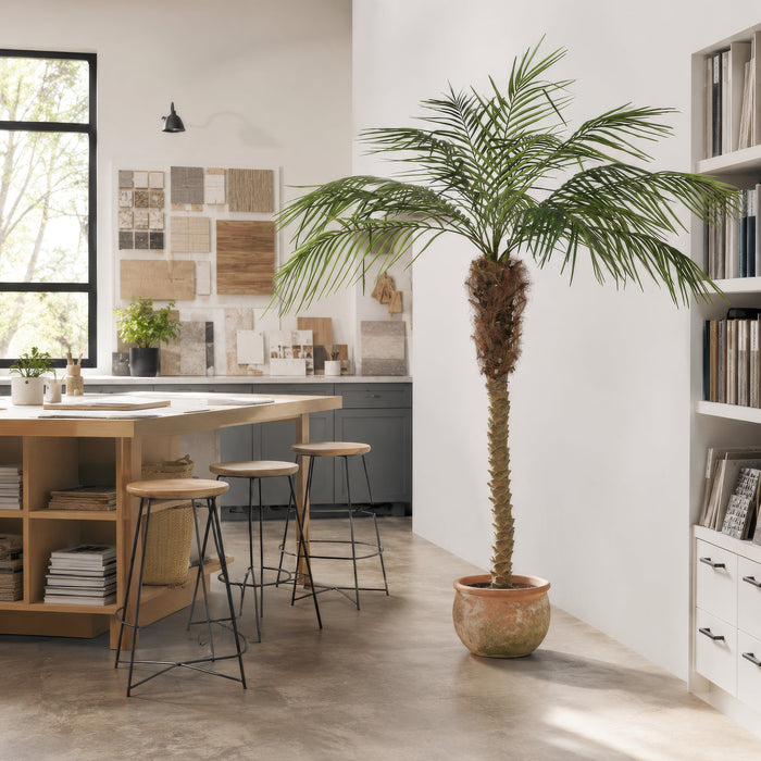 6' Phoenix Silk Palm Tree w/Pot -Green - TB180372