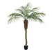 6' Phoenix Silk Palm Tree w/Pot -Green - TB180372
