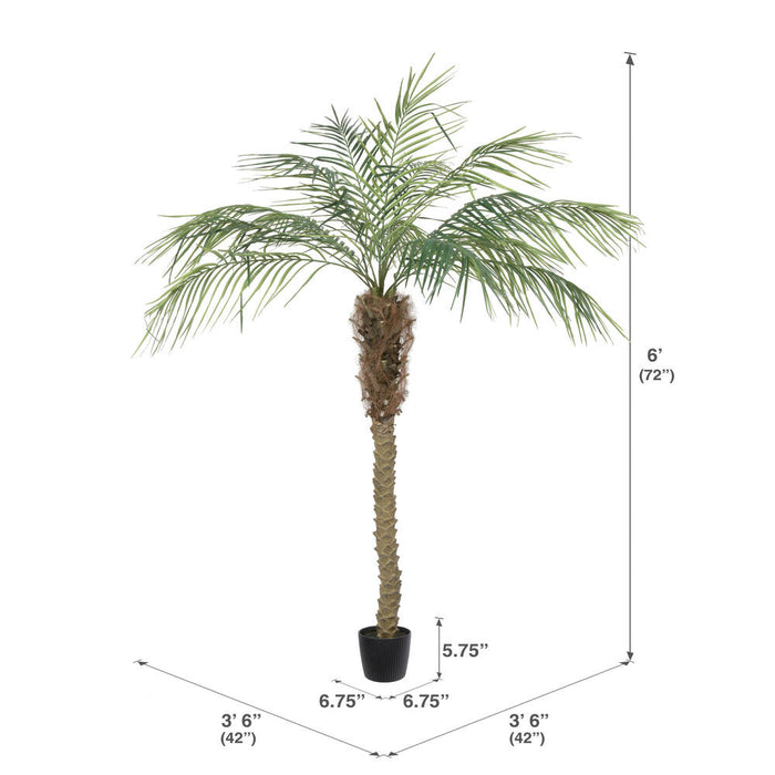 6' Phoenix Silk Palm Tree w/Pot -Green - TB180372