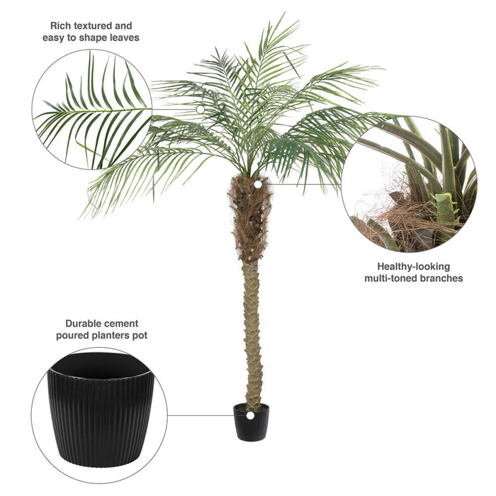 6' Phoenix Silk Palm Tree w/Pot -Green - TB180372