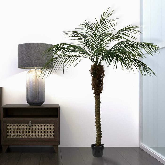 6' Phoenix Silk Palm Tree w/Pot -Green - TB180372