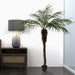 6' Phoenix Silk Palm Tree w/Pot -Green - TB180372