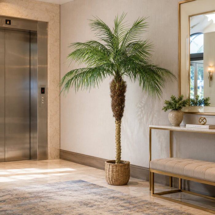 7' Phoenix Silk Palm Tree w/Pot -Green - TB180384