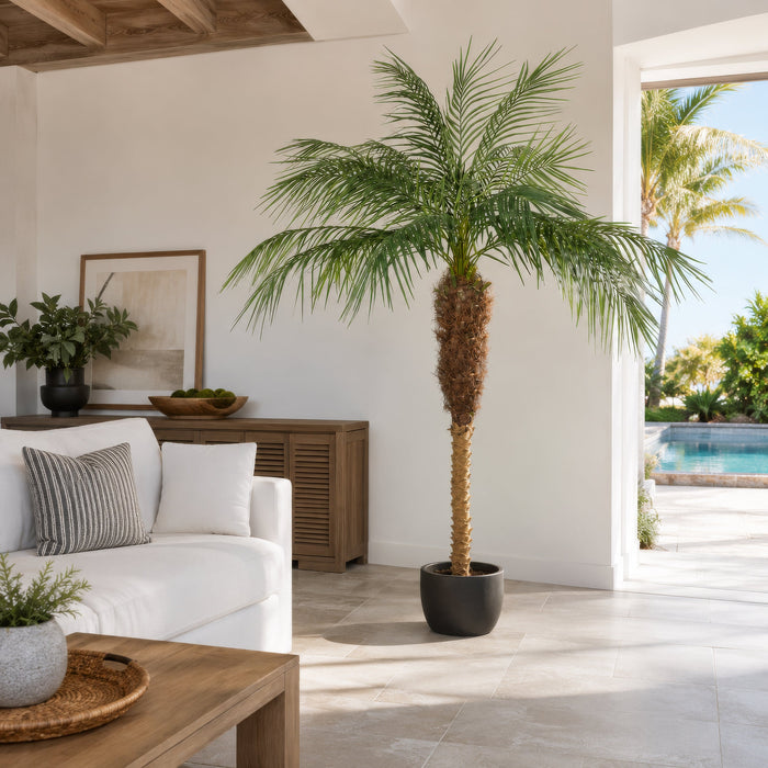 7' Phoenix Silk Palm Tree w/Pot -Green - TB180384