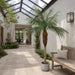 7' Phoenix Silk Palm Tree w/Pot -Green - TB180384