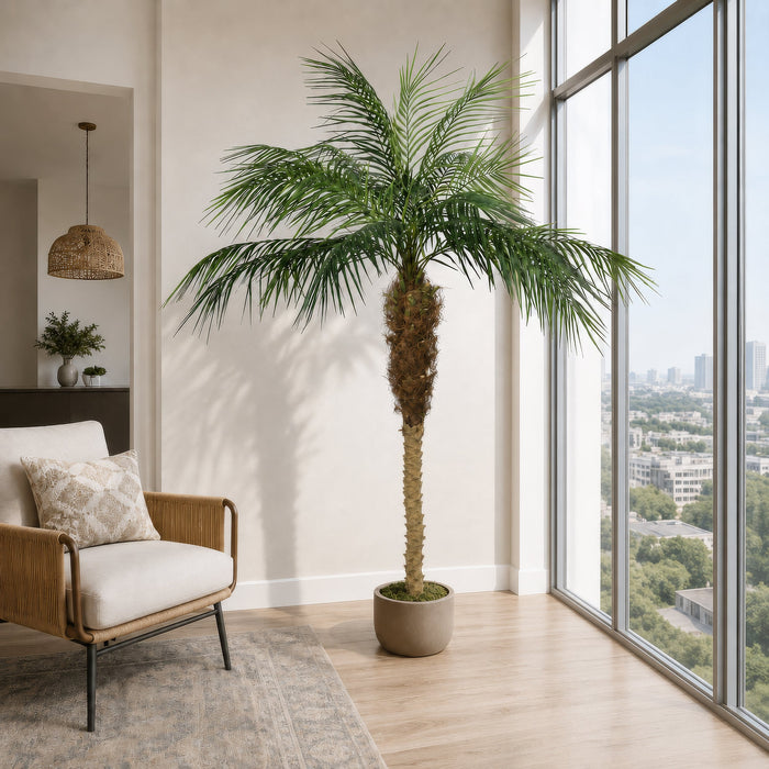 7' Phoenix Silk Palm Tree w/Pot -Green - TB180384