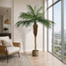 7' Phoenix Silk Palm Tree w/Pot -Green - TB180384