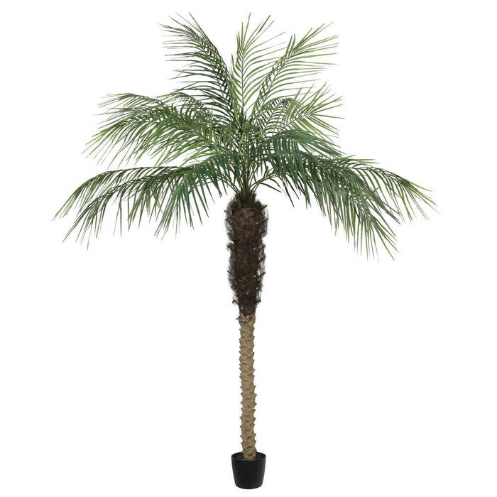 7' Phoenix Silk Palm Tree w/Pot -Green - TB180384
