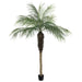 7' Phoenix Silk Palm Tree w/Pot -Green - TB180384