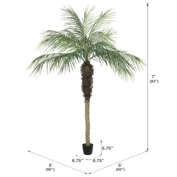 7' Phoenix Silk Palm Tree w/Pot -Green - TB180384