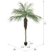 7' Phoenix Silk Palm Tree w/Pot -Green - TB180384