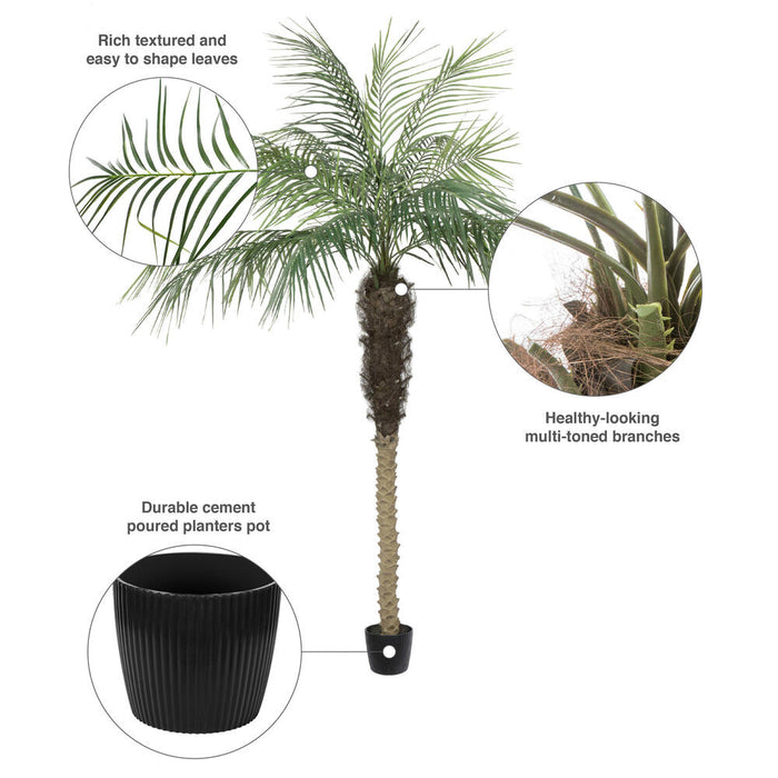 7' Phoenix Silk Palm Tree w/Pot -Green - TB180384
