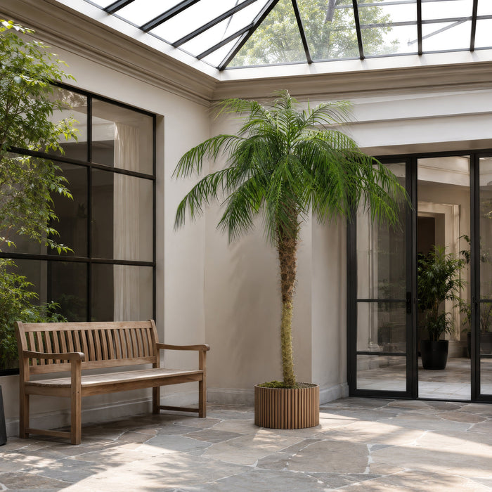 8' Phoenix Silk Palm Tree w/Pot -Green - TB180396