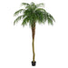 8' Phoenix Silk Palm Tree w/Pot -Green - TB180396