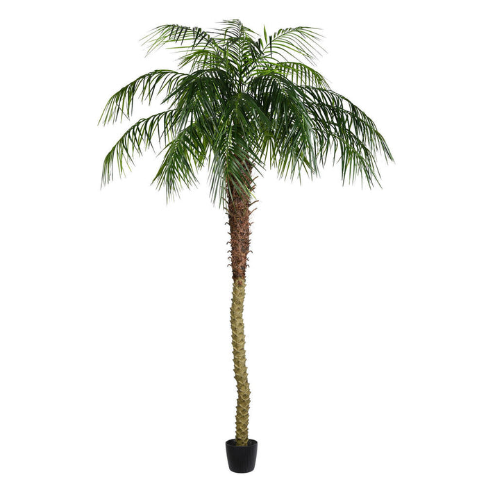 8' Phoenix Silk Palm Tree w/Pot -Green - TB180396