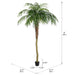 8' Phoenix Silk Palm Tree w/Pot -Green - TB180396