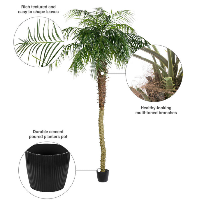 8' Phoenix Silk Palm Tree w/Pot -Green - TB180396