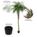 8' Phoenix Silk Palm Tree w/Pot -Green - TB180396