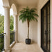 9' Phoenix Silk Palm Tree w/Pot -Green - TB180399