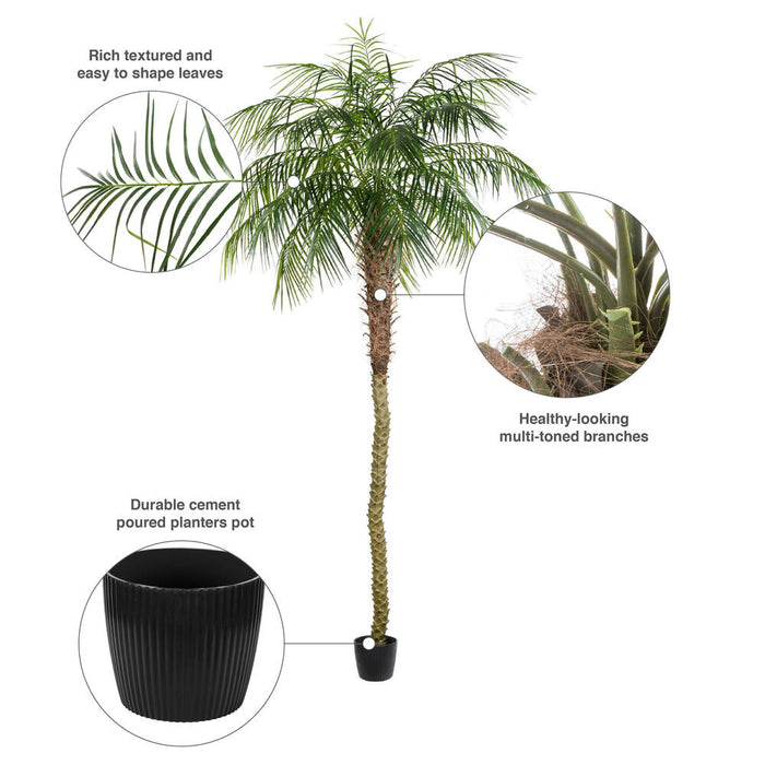 9' Phoenix Silk Palm Tree w/Pot -Green - TB180399