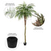 9' Phoenix Silk Palm Tree w/Pot -Green - TB180399