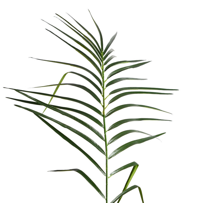 8' Phoenix Silk Palm Tree w/Pot -Green - TB180396