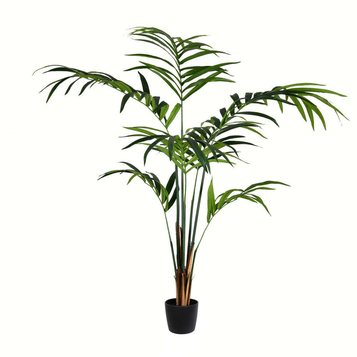 6' Kentia Silk Palm Tree w/Plastic Pot -Green - TB190560