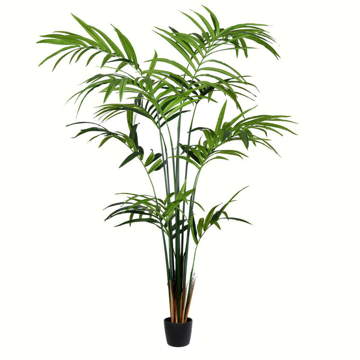 8' Kentia Silk Palm Tree w/Plastic Pot -Green - TB190580