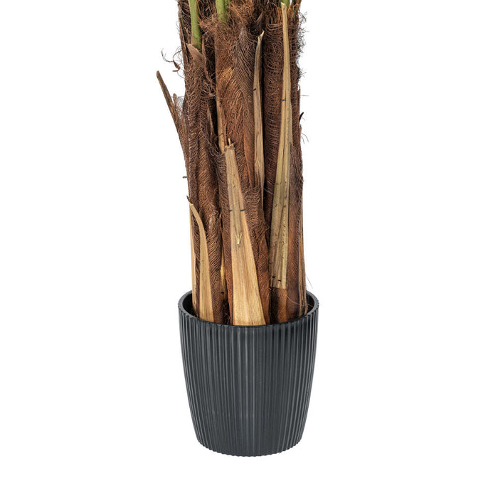6' Silk Areca Palm Tree w/Plastic Pot -Green - TB190760