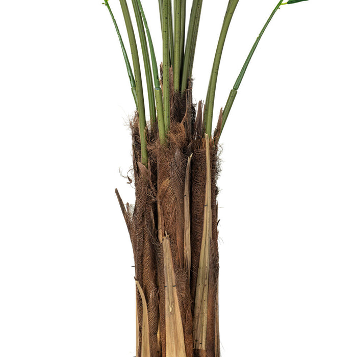 6' Silk Areca Palm Tree w/Plastic Pot -Green - TB190760