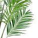 6' Silk Areca Palm Tree w/Plastic Pot -Green - TB190760