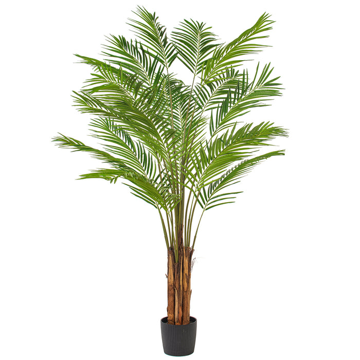 7' Silk Areca Palm Tree w/Plastic Pot -Green - TB190770