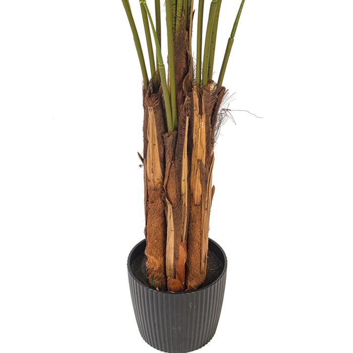 7' Silk Areca Palm Tree w/Plastic Pot -Green - TB190770