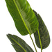 4' Bird Of Paradise Tropical Silk Plant w/Plastic Pot -Green - TB190840