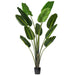 6' Travelers Silk Palm Tree w/Plastic Pot -Green - TB190860