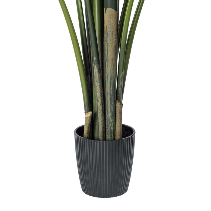 6' Travelers Silk Palm Tree w/Plastic Pot -Green - TB190860