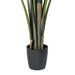 6' Travelers Silk Palm Tree w/Plastic Pot -Green - TB190860