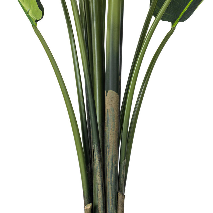 6' Travelers Silk Palm Tree w/Plastic Pot -Green - TB190860