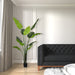 6' Travelers Silk Palm Tree w/Plastic Pot -Green - TB190860