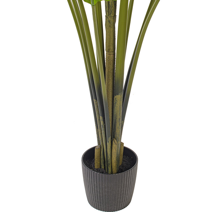 7' Travelers Silk Palm Tree w/Plastic Pot -Green - TB190870