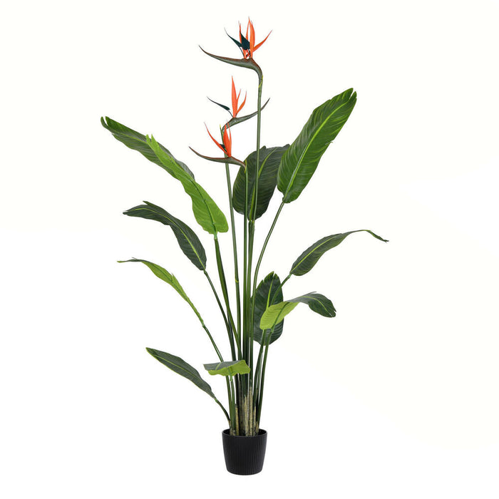4' Silk Bird Of Paradise Palm Tree w/Plastic Pot -Green - TB191240